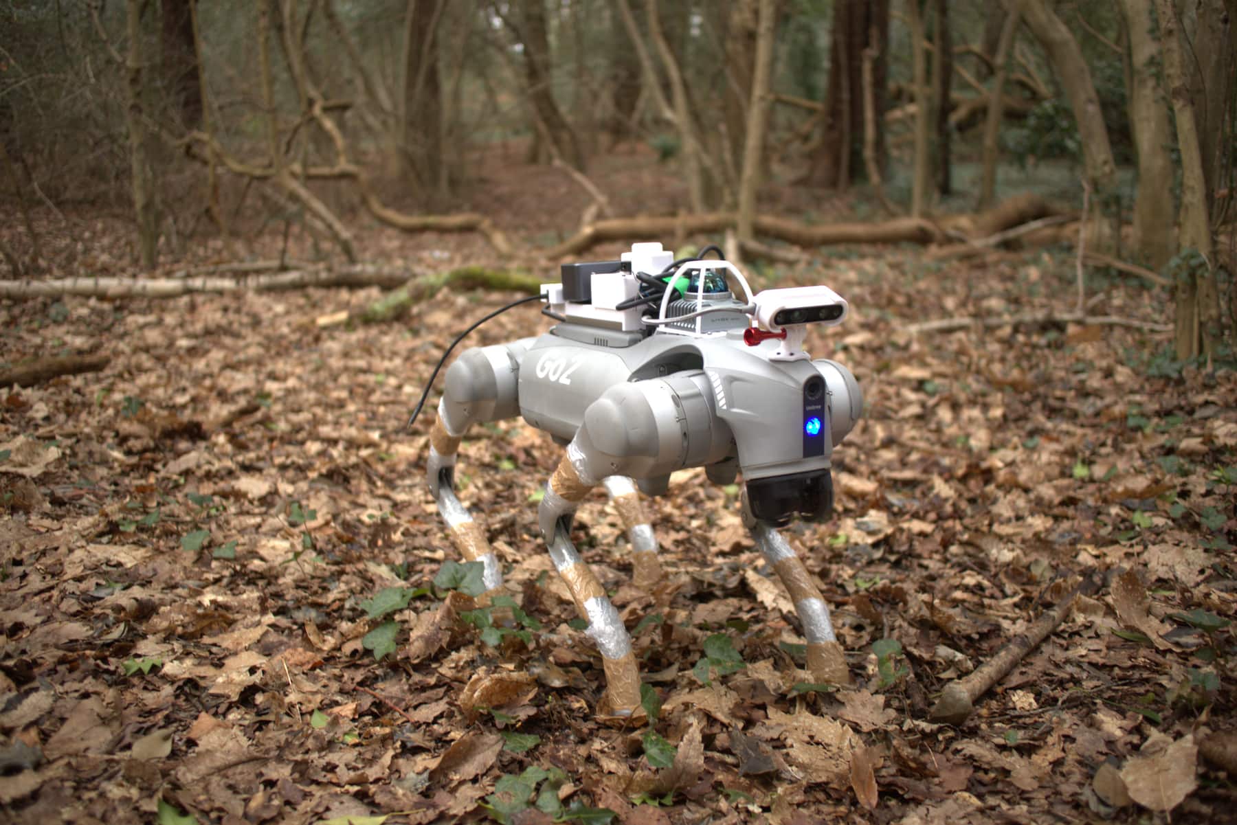 A quadruped robot carrying sensors on its back, standing on leaf litter in bare winter woodland.